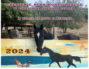 Chester and Push Horse Rescue