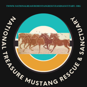 National Treasure Mustang Rescue and sanctuary