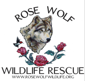 Rose Wolf Wildlife Rescue Logo